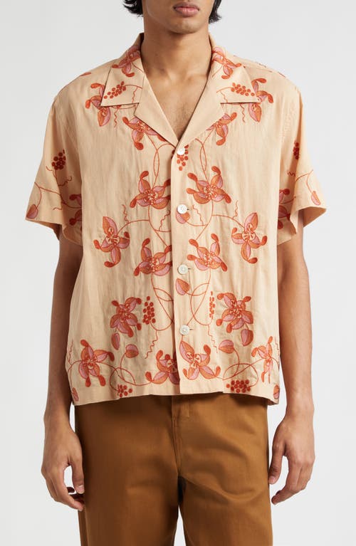 Bode Bougainvillea Embroidered Camp Shirt Pink at Nordstrom,