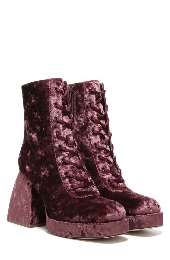 Circus Ny Kia Block Heel Bootie In Red Currant