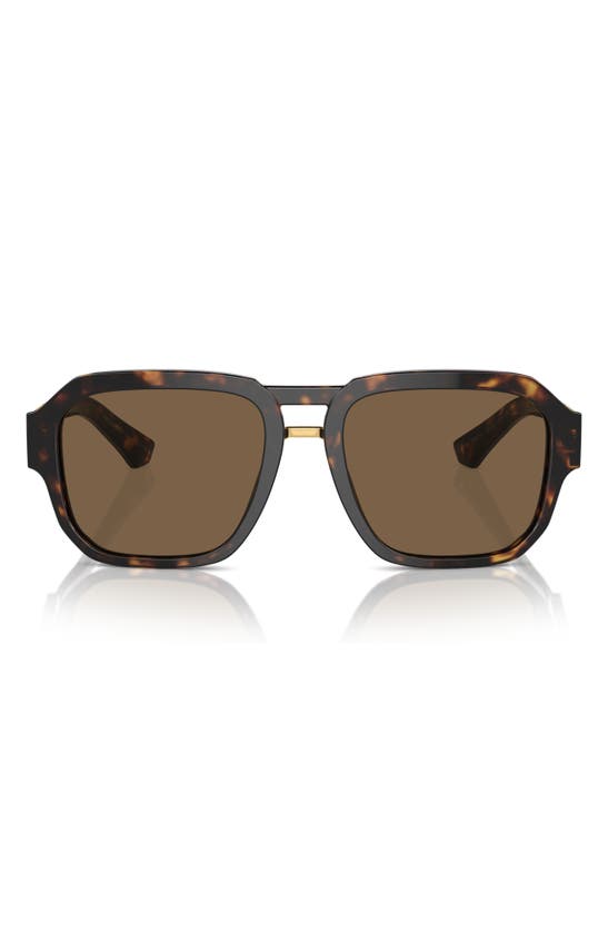 Shop Dolce & Gabbana 56mm Pilot Sunglasses In Havana