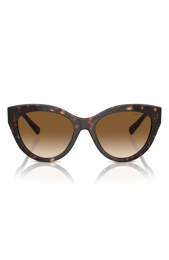 Tiffany & Co 54mm Gradient Cat Eye Sunglasses In Blue