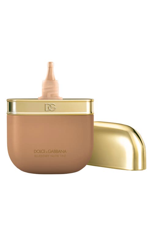 Dolce & Gabbana Dolce&gabbana Blueberry Nutri-tint Hydra-glow & Fresh Skin Tint In 19w