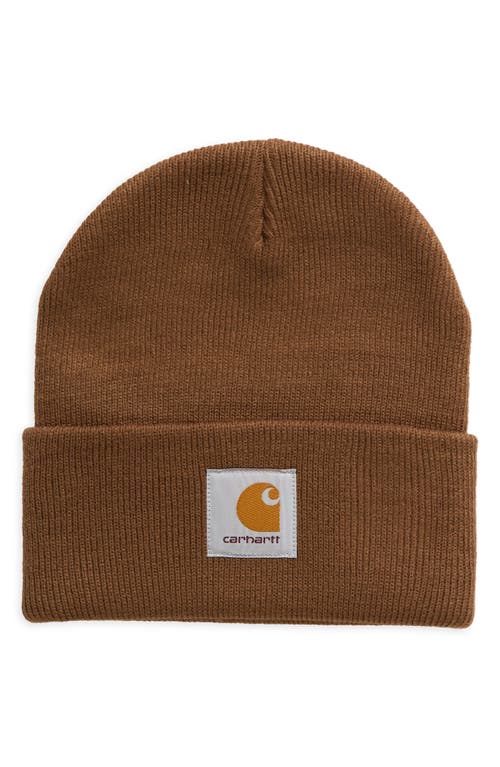 Carhartt Work In Progress Short Watch Beanie In Chocolate