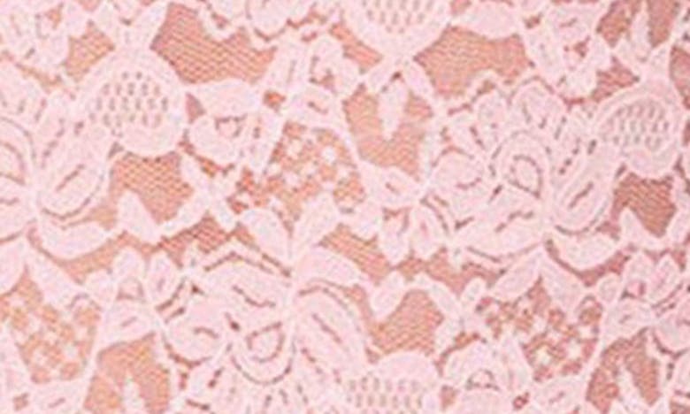 Shop Edikted Estella Sheer Lace Crop Top In Pink