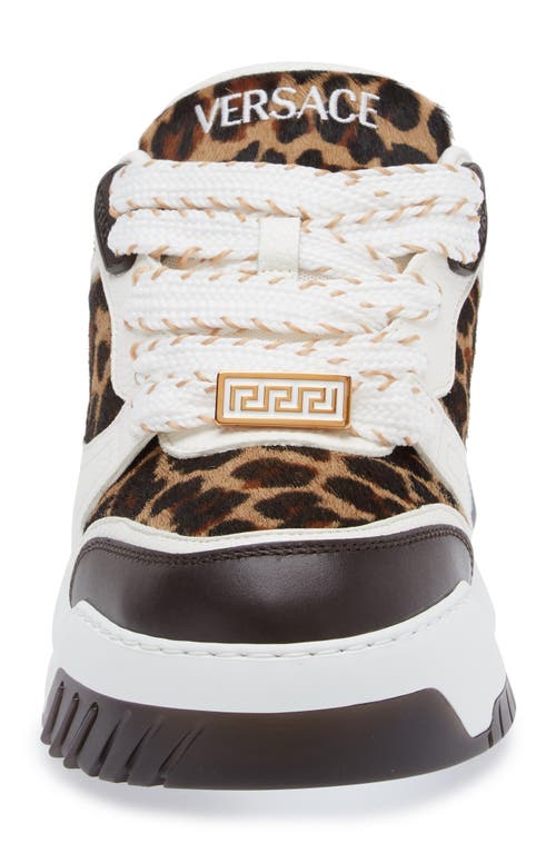 Shop Versace Odissea Genuine Calf Hair Sneaker In Ebano Ivory Gold