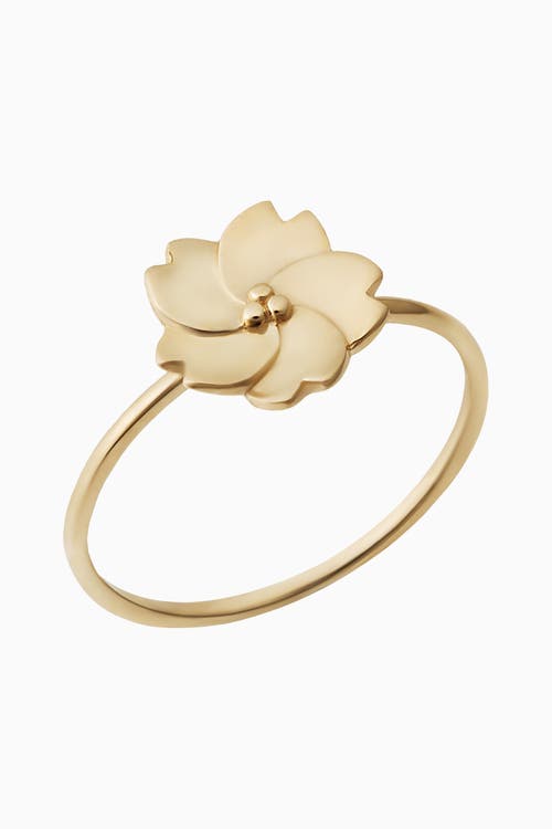 Oradina Women's 14k Yellow Gold Fresh Bouquet Ring In Yellow Gold