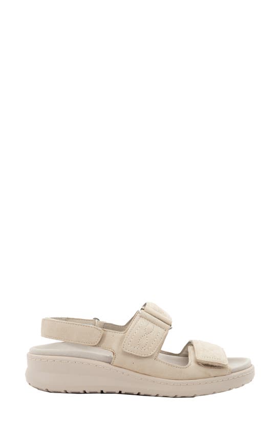 Shop David Tate Key Comfort Slingback Sandal In Bone