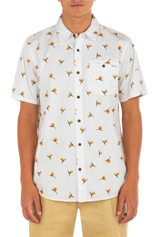 Hurley Windansea Short Sleeve Button-Up Shirt in White 2 at Nordstrom, Size Large