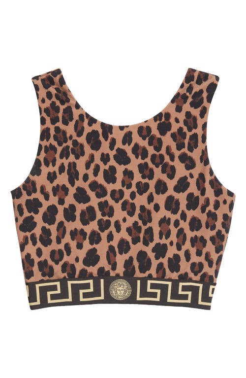 Shop Versace Leopard Print Crop Tank In Chestnut Gold