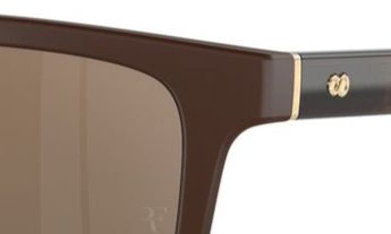 Oliver Peoples Man Sunglass Ov5553su Mr. Federer In Beige