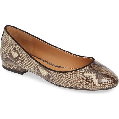 Jessica Simpson Garcelle Skimmer Flat, Brown