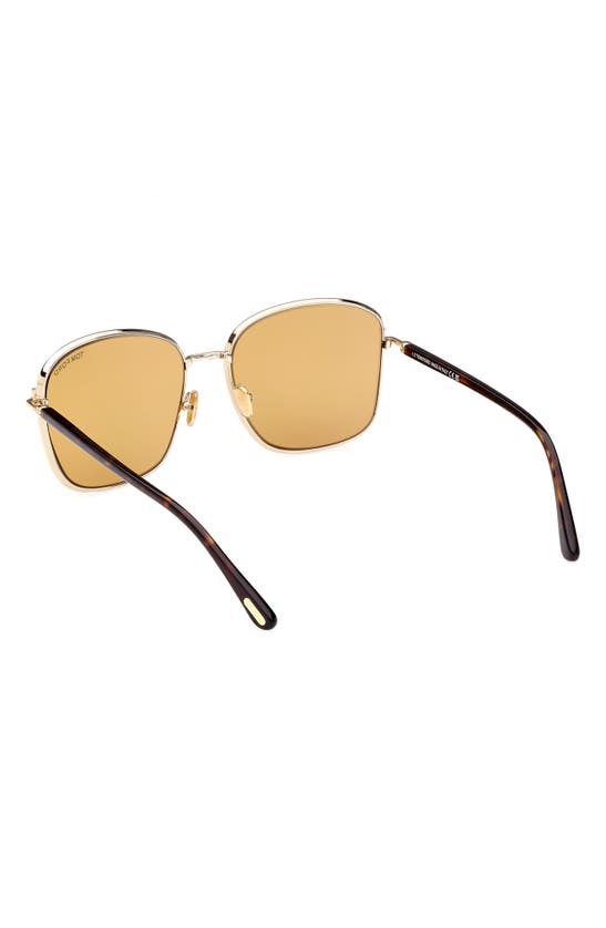 Tom Ford 57mm Square Sunglasses In Gold / Brown