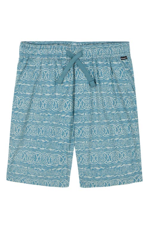 Quiksilver Kids' Taxer Shorts In Blue