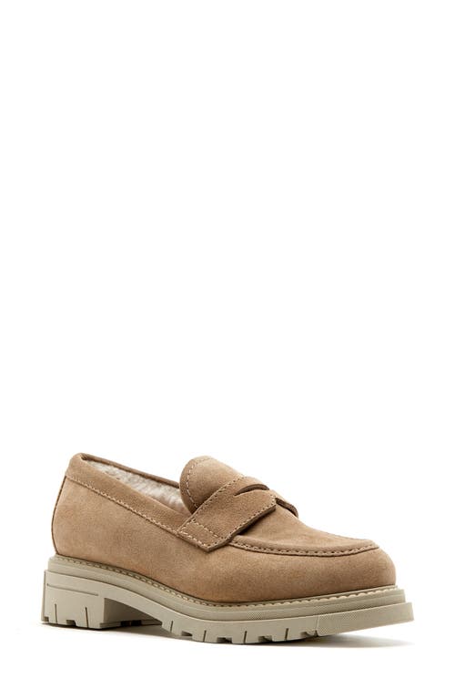 La Canadienne Devin Waterproof Penny Loafer in Biscotti Suede 