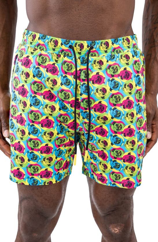 Shop Maceoo Lion Frenchie Swim Trunks In Green