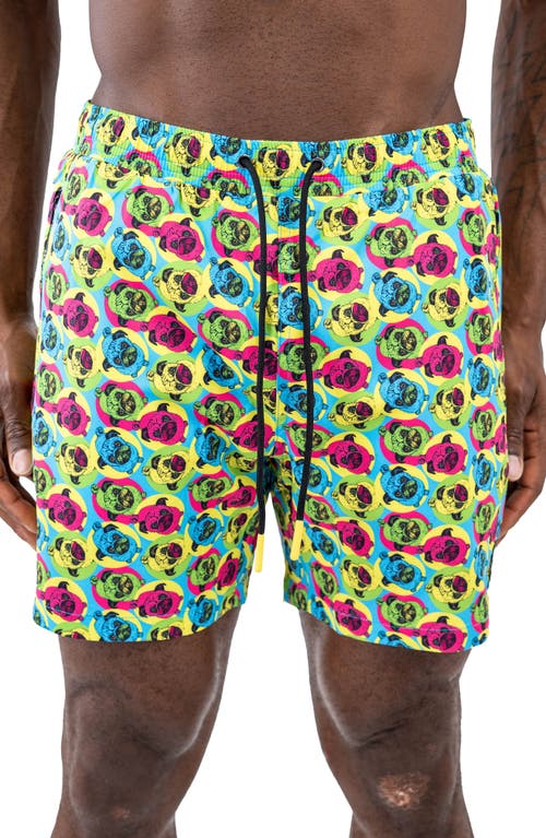 Maceoo Lion Frenchie Swim Trunks Green at Nordstrom,