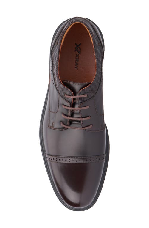 X-ray Xray Dawson Brogue Derby In Coffee Bean