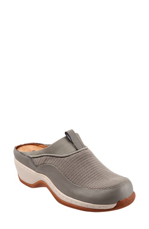 SoftWalk Aberdeen Mule Cement at Nordstrom,