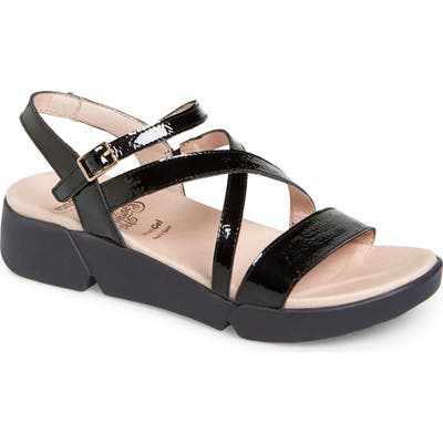 Wonders Wedge Sandal, Black