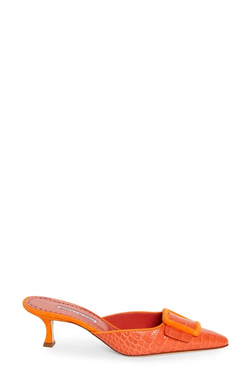 Shop Manolo Blahnik Maysalebi Kitten Heel Mule In Bora Bora