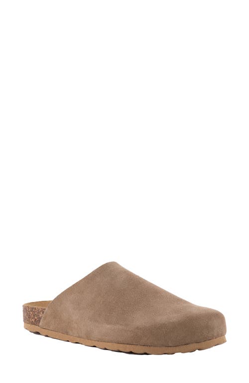 Seychelles New Routine Mule in Taupe at Nordstrom, Size 6