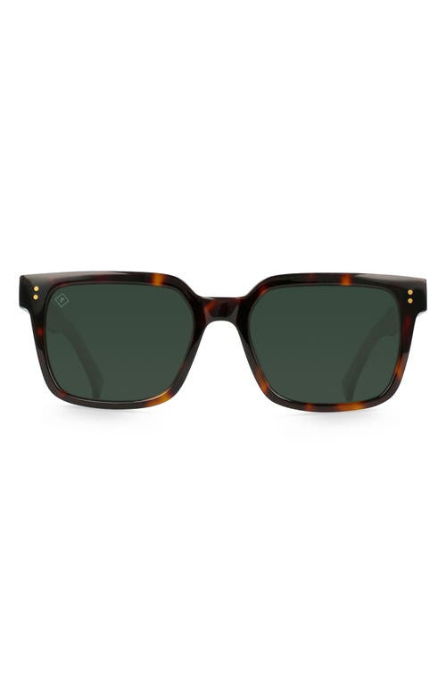 Raen West 55mm Polarized Square Sunglasses In Kola Tortoise/green Polar