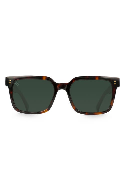 Shop Raen West 55mm Polarized Square Sunglasses In Kola Tortoise/green Polar