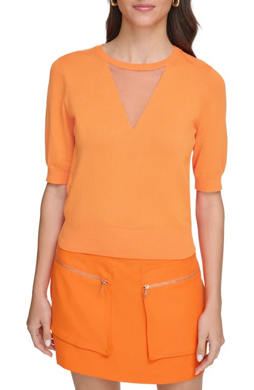 DKNY Sheer Mesh Illusion V-Neck Sweater at Nordstrom,