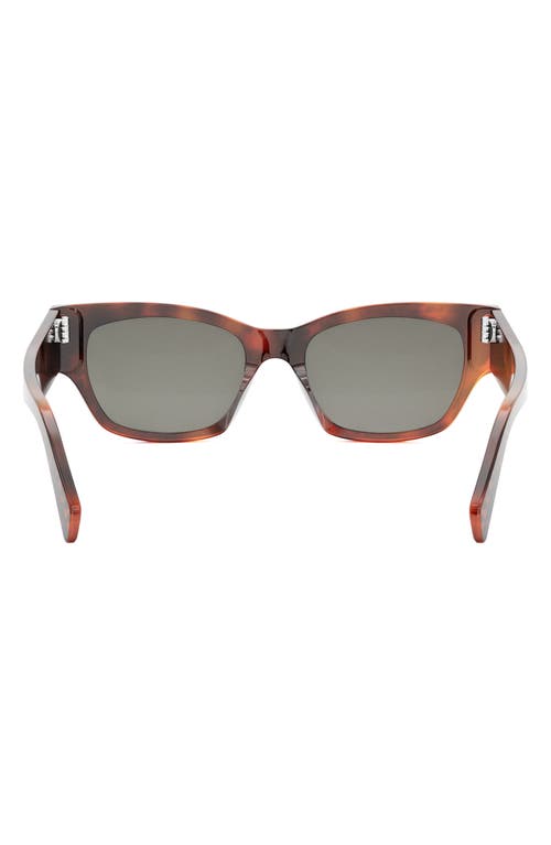 Shop Celine Monochroms 54mm Cat Eye Sunglasses In Animal/smoke