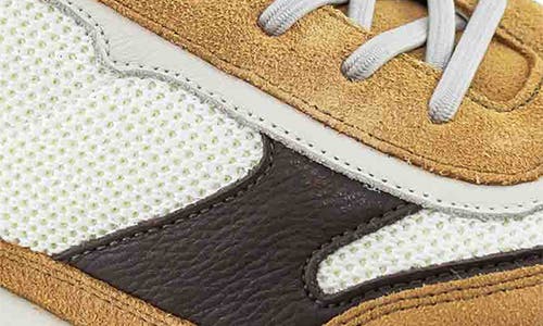 Marc Joseph New York Alex Cir Sneaker In Cafe And Birch