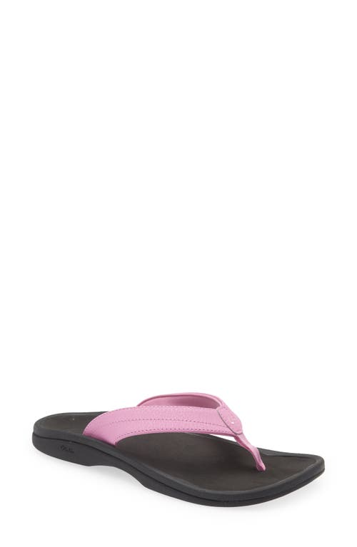 Shop Olukai Ohana Flip Flop In Dragon Fruit/black