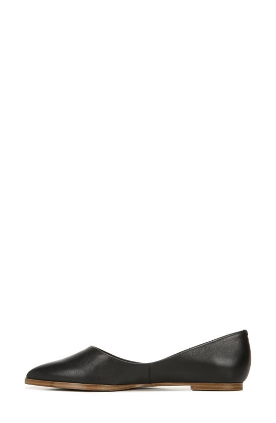 Zodiac Hill Pointy Toe Flat In Black Leather