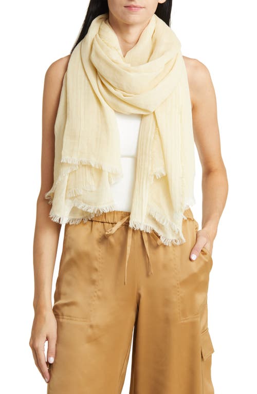 Vince Stripe Cotton Gauze Scarf in Papyrus/Straw at Nordstrom