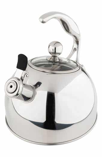 Zwilling Enfinigy 1.56-qt Cool Touch Stainless Steel Electric Kettle Pro,  Tea Kettle, Silver : Target