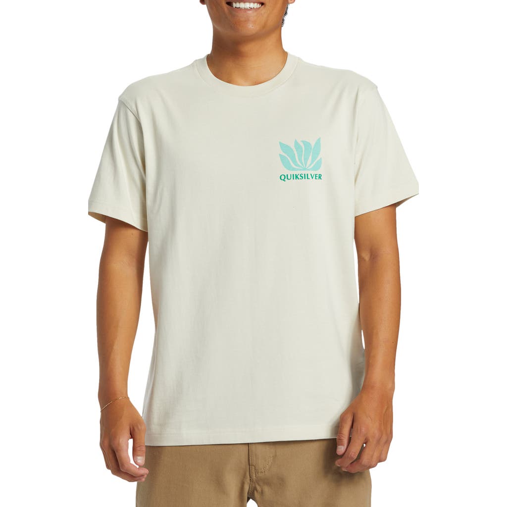 Quiksilver Natural Forms Organic Cotton Graphic T-shirt In Silver Birch