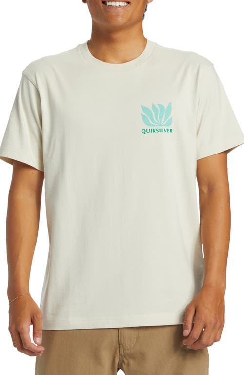 Shop Quiksilver Natural Forms Organic Cotton Graphic T-shirt In Silver Birch