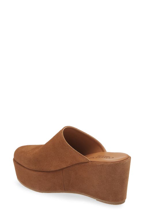 Cordani Jules Platform Mule In Clove Suede