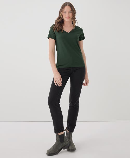 Shop Pact Organic Cotton Softspun V-neck Tee In Mountain View