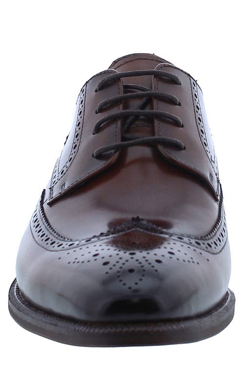 Penny Lane Harley Wingtip Derby In Cognac