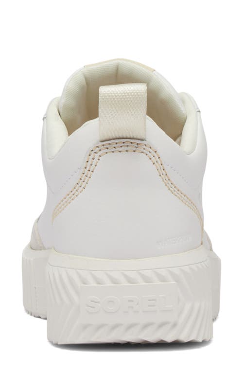Sorel Ona Ave Sneakers In Sea Salt/bleached Ceramic