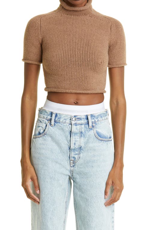 Alexander Wang Ribbed Crop Merino Wool Blend Turtleneck Sweater in Campfire