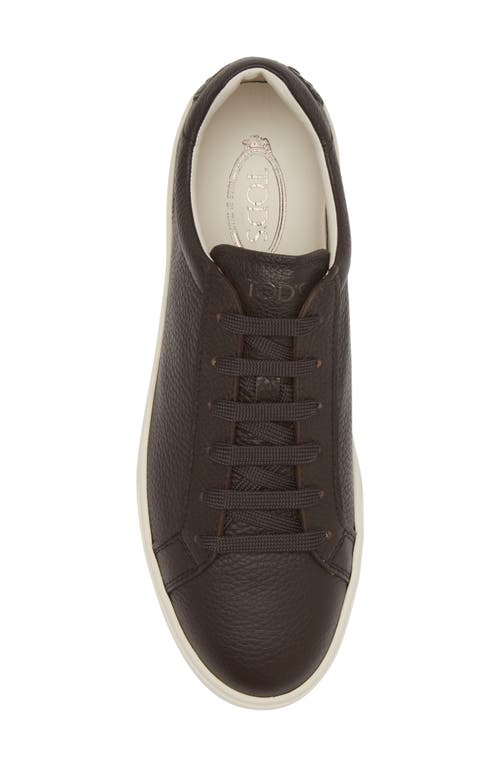 Tod's Men's Allacciata Cassetta 04l Lace Up Sneakers In Caffe