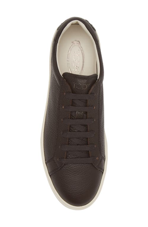 Shop Tod's Cassetta Sneaker In Caffe