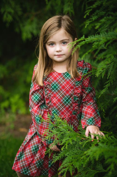 Shop Worthy Threads Long Sleeve Ruffle Dress In Red Green Plaid