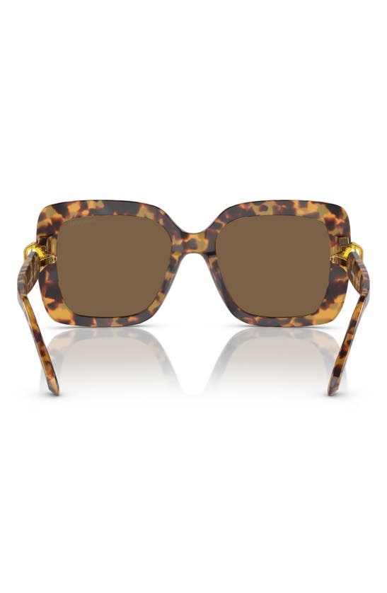 Swarovski 55mm Square Sunglasses In Lite Havana
