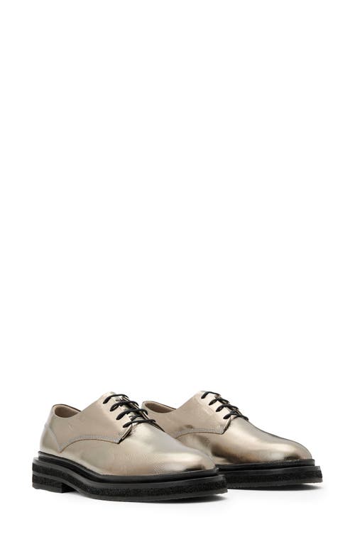 Shop Allsaints Escher Plain Toe Derby In Gunmetal Grey