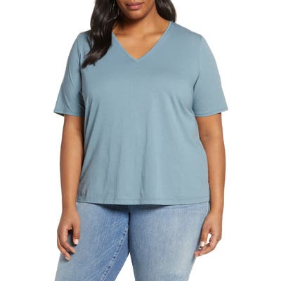 Plus Size Eileen Fisher Striped V-Neck Organic Cotton Tee, Blue