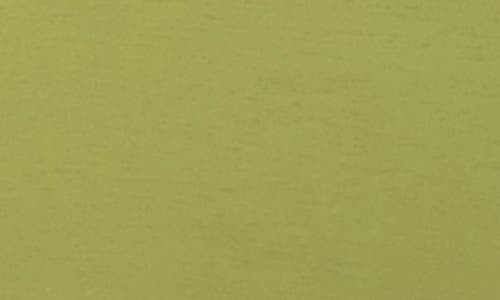 Bey-berk Watch Storage Case In Lime Green