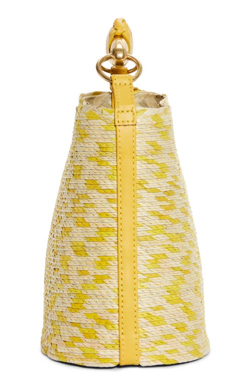 Shop Altuzarra Mini Watermill Straw Handbag In Yellow Pinto