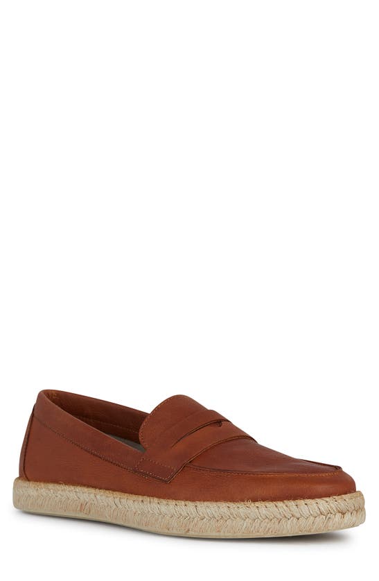 Shop Geox Ostuni Penny Loafer In Light Brown