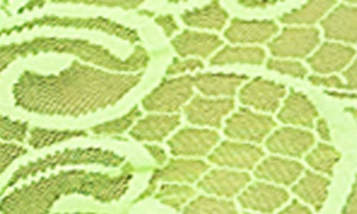 Mapalé Mapale Lace Bralette & Boyshorts Set In Hot Green